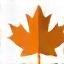 Maple Leaf Digital Academy Logo